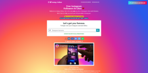 Instag Follow Review & Alternatives