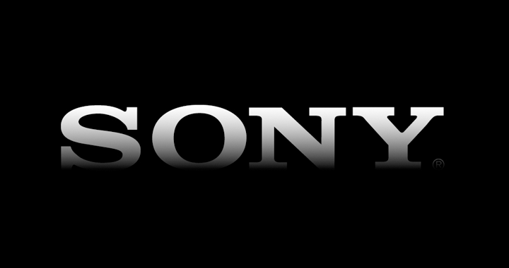 Sony Net Worth 2021
