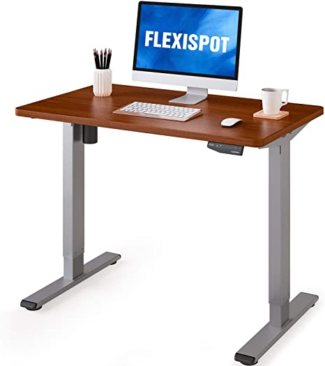 FlexiSpot EN1