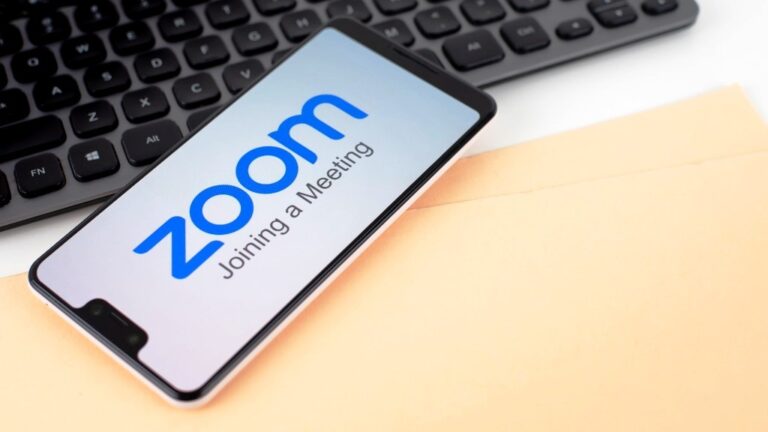 How Many People Use Zoom