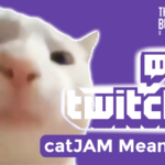 catJAM Meaning