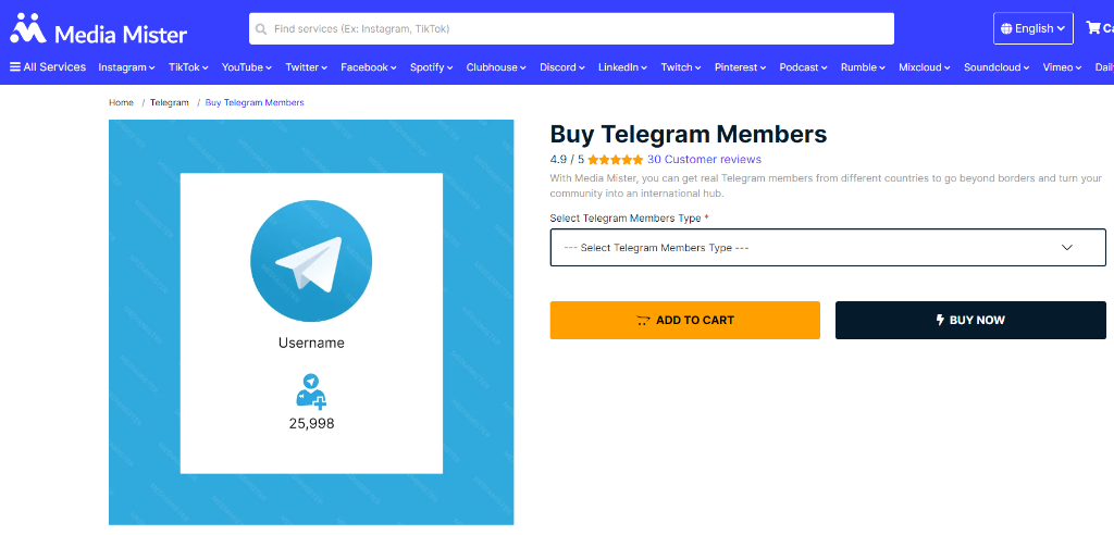 Media Mister Buy Telegram Members