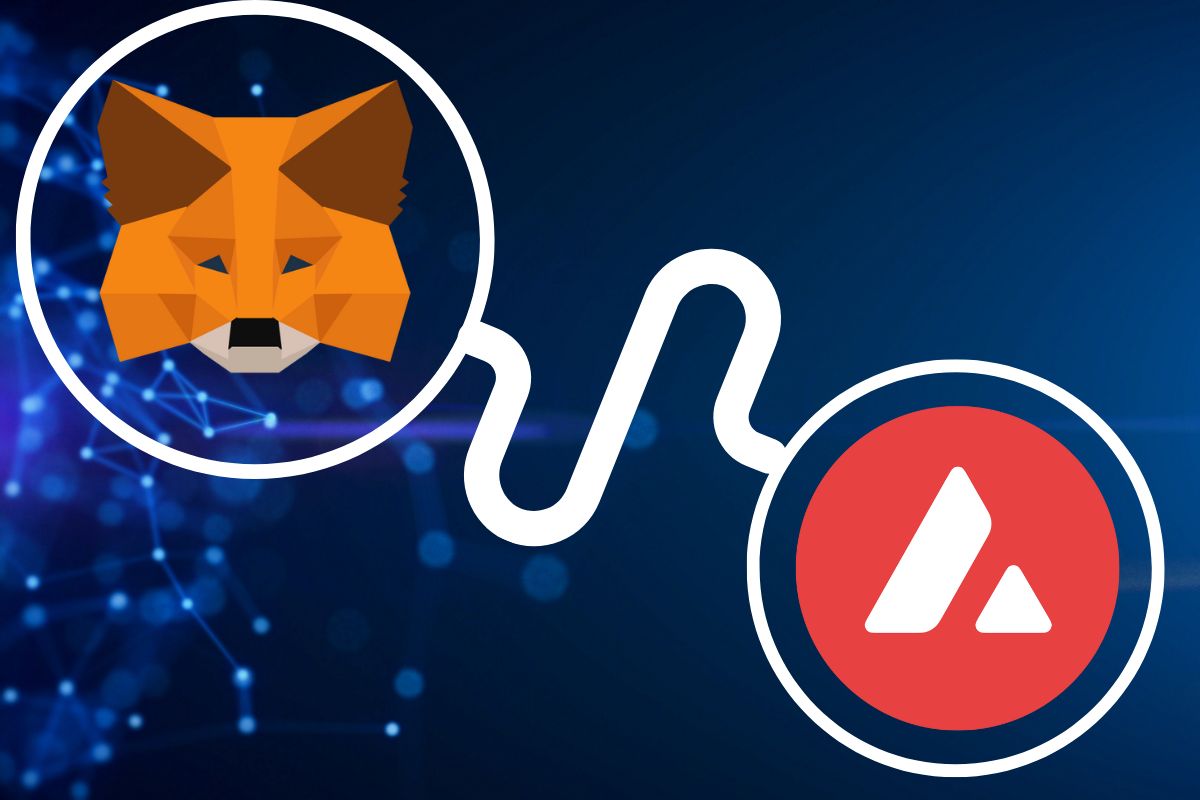 How to Add Avalanche to MetaMask