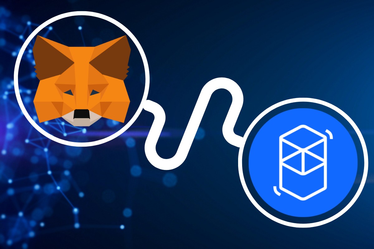 How to Add Fantom to Metamask
