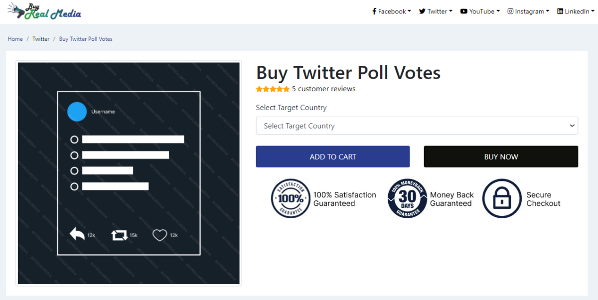 buy real media buy twitter poll votes