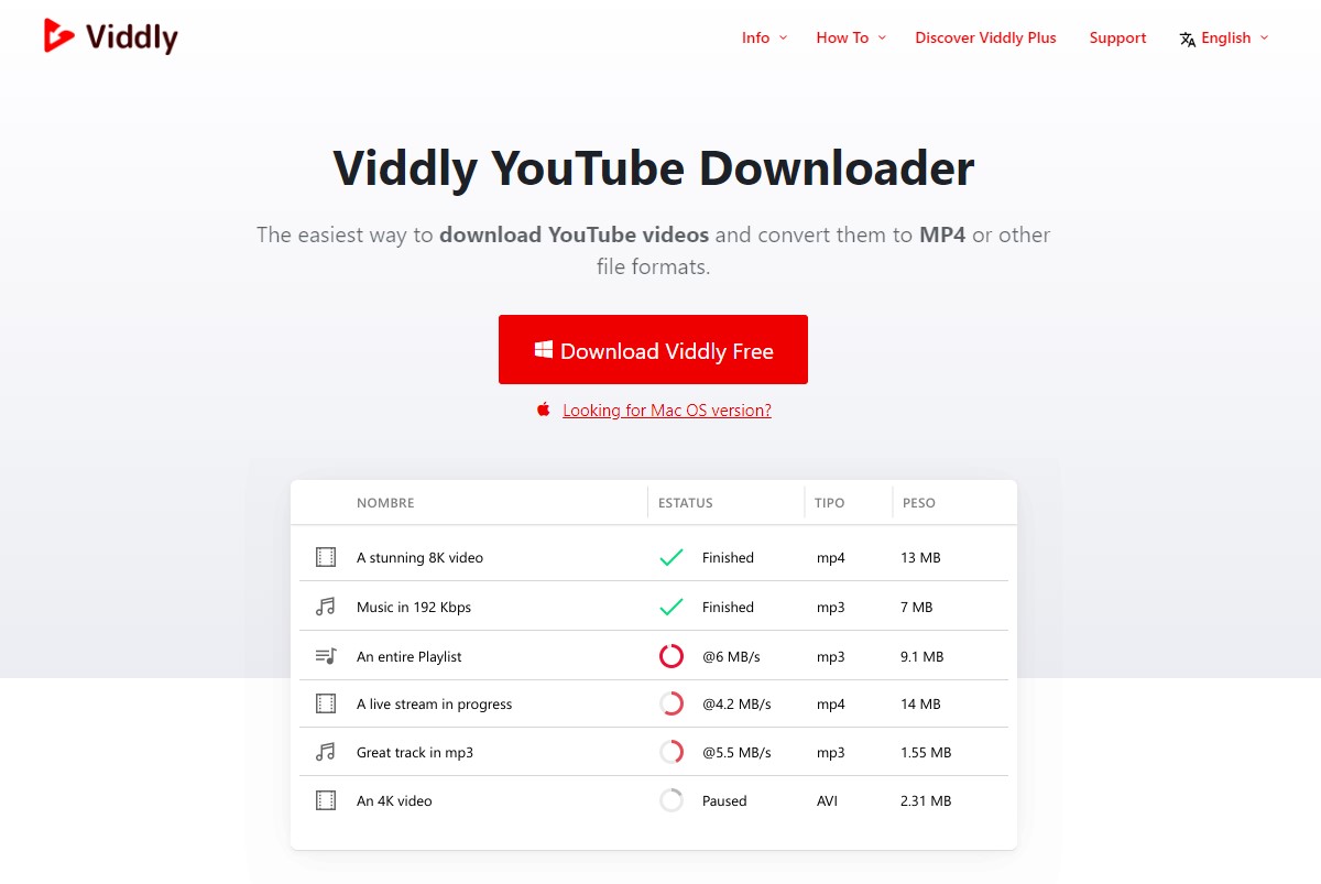 viddly Youtube Playlist Downloader Tools