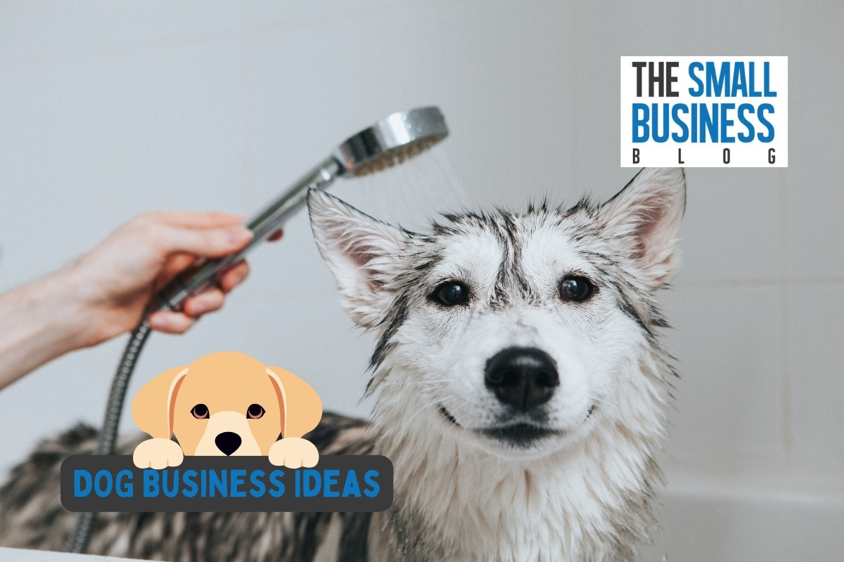 Dog Business Ideas