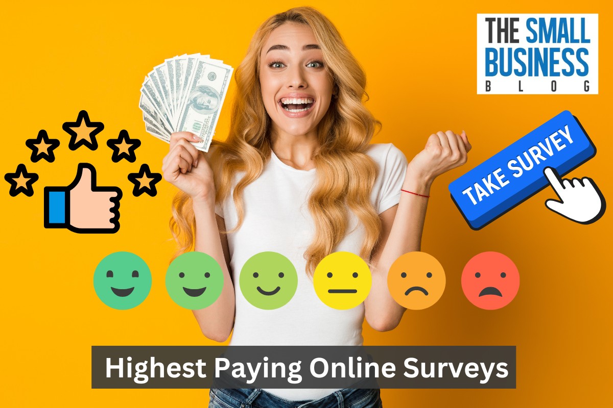 Highest Paying Online Surveys