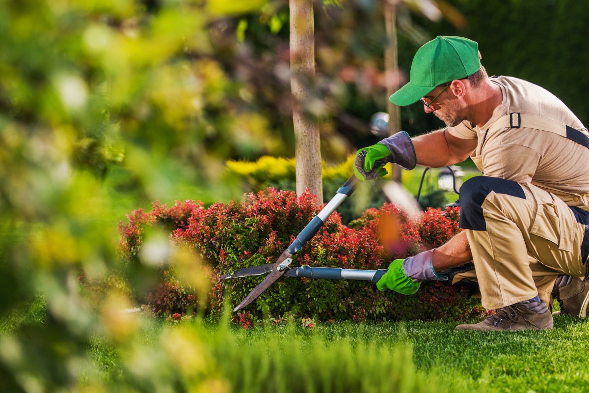 Gardening and Landscaping Assistant Summer Jobs That Pay Well