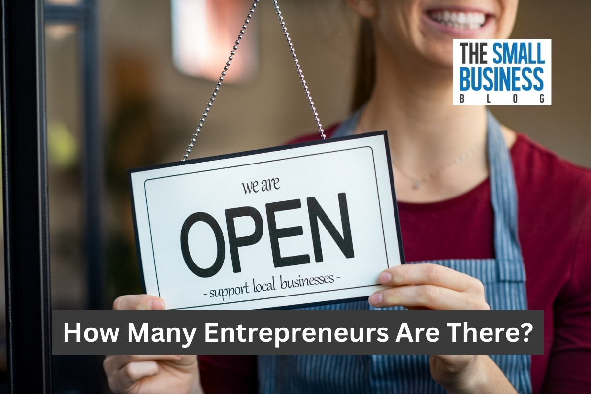 How Many Entrepreneurs Are There