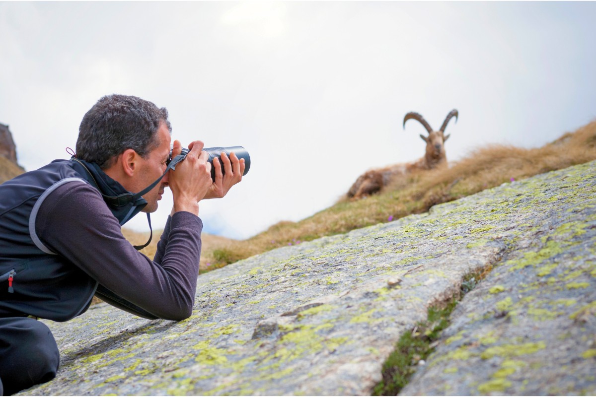 Nature and Wildlife Photography How To Make Money as a Photographer