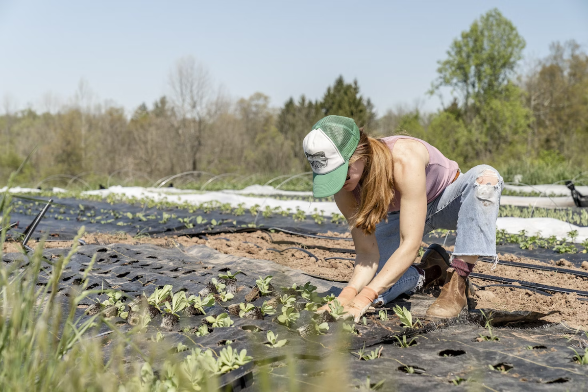 Organic Farming Initiatives Zero Waste Business Ideas