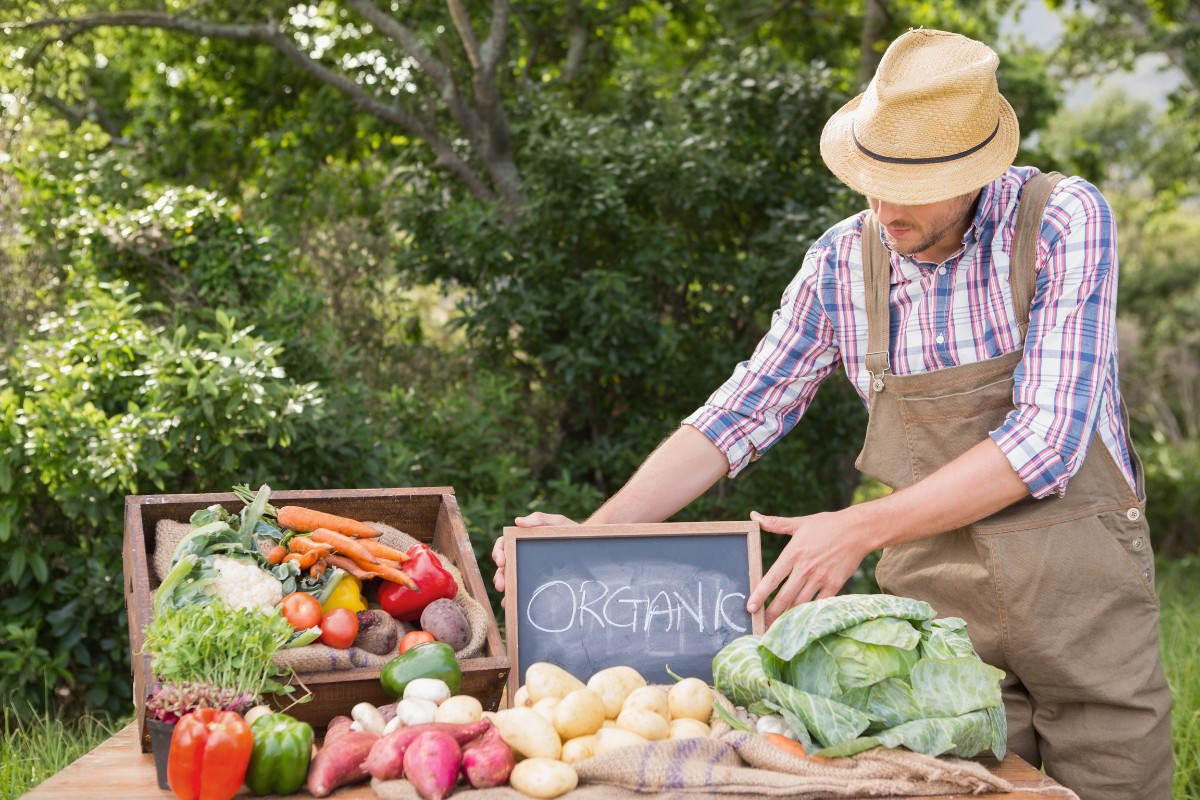Selling at Farmers' Markets How To Make Money on a Farm