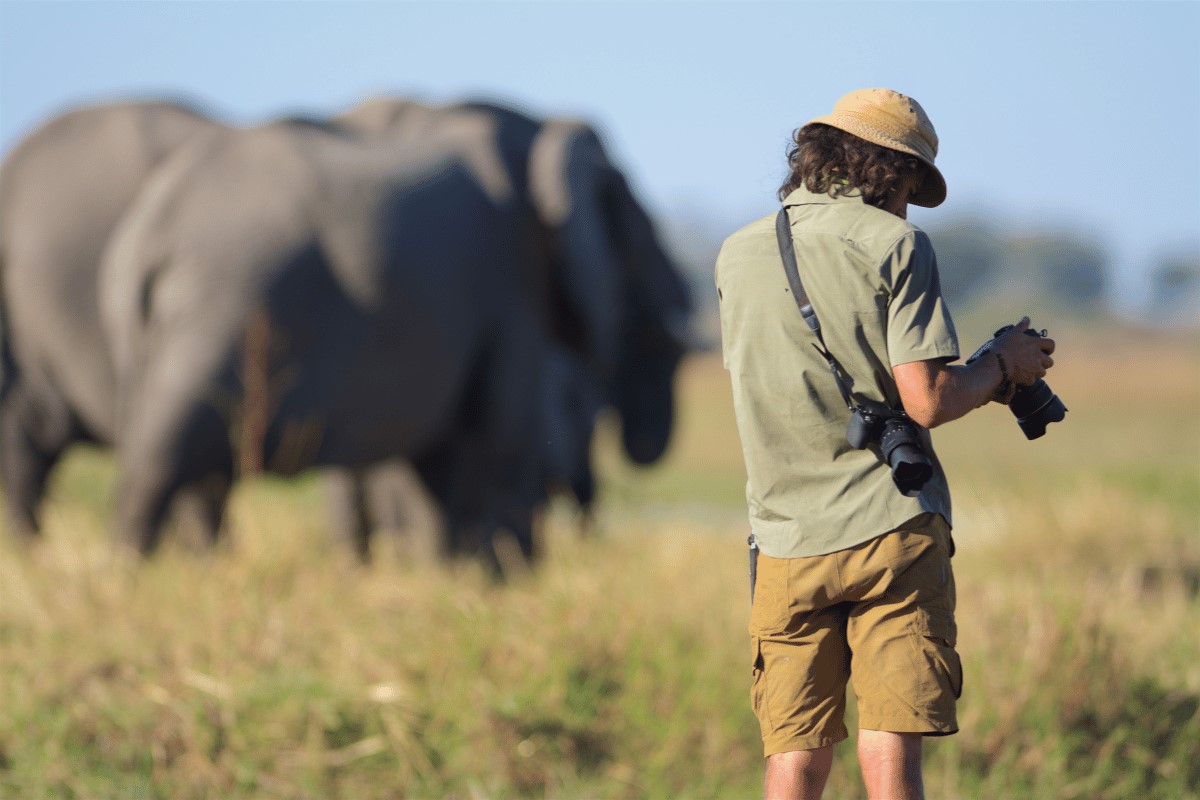 Wildlife Photographer Travel Jobs Career Ideas