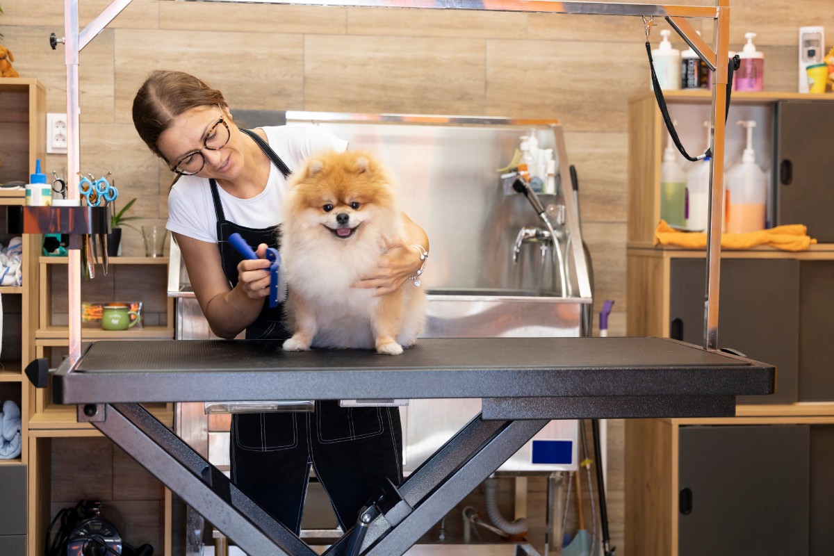 Focusing on Loyal Clientele How to Start a Dog Grooming Business