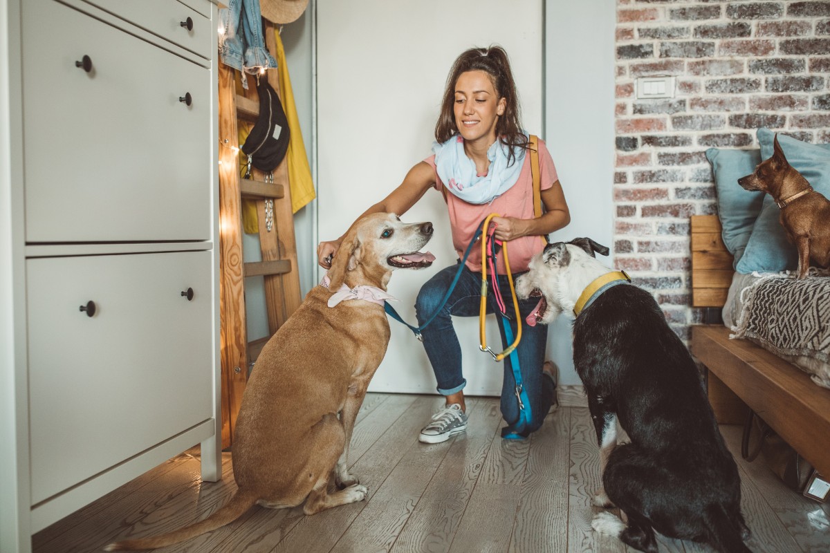 Pet-Sitter Best Jobs for Lazy People